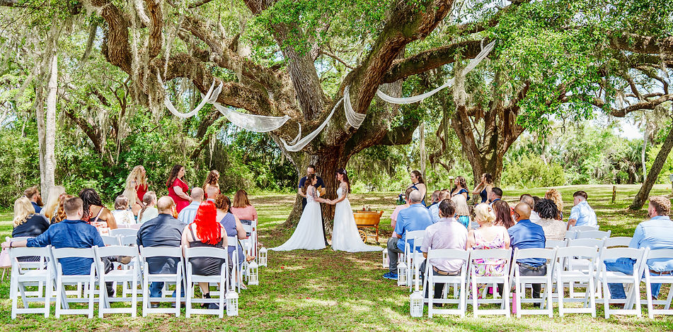 Jasmine & Tonya wedding photo 2