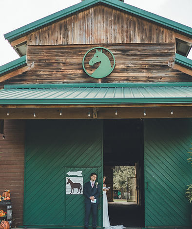 Isabella + Jacob wedding photo 7